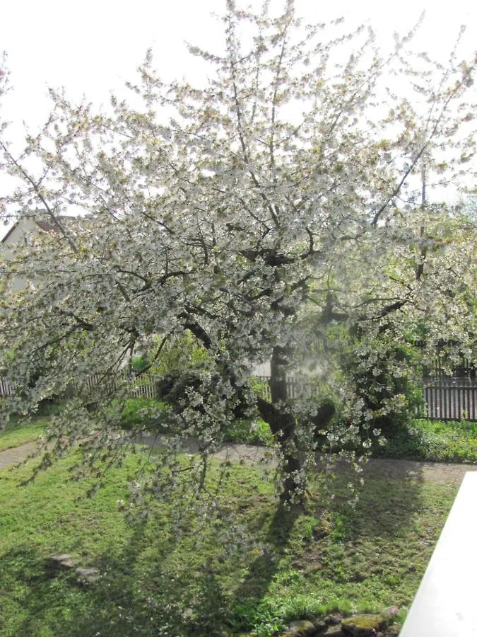Hochwertiges Ferienhaus im romantischen Franken Colmberg 0*,